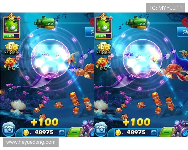 全面解析AG捕鱼王网站的安全保障措施，让您放心体验每一次捕鱼刺激