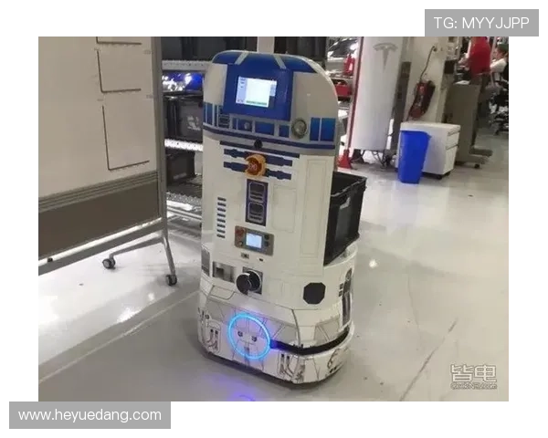 深入了解AG电投网如何打造公平公正的游戏环境与高效的用户服务