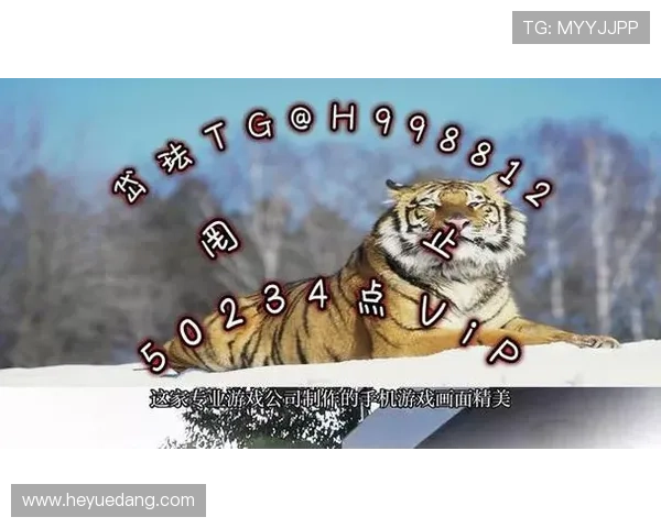 新手必看：ag捕鱼网站入门攻略与常见问题解答