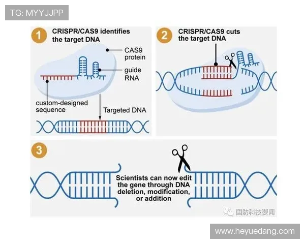 凯发数字站未来在游戏行业中的发展方向与潜在机遇分析